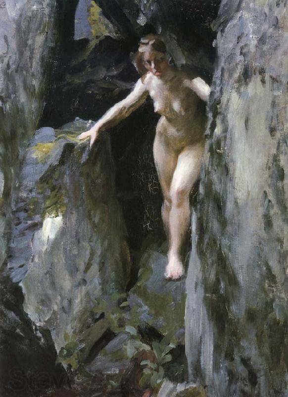 Anders Zorn Unknow work 13 France oil painting art